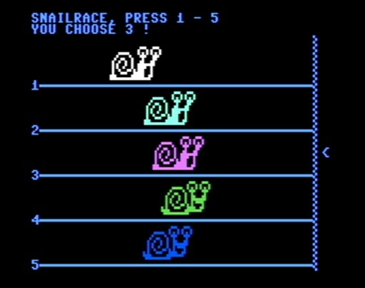 SnailRace
